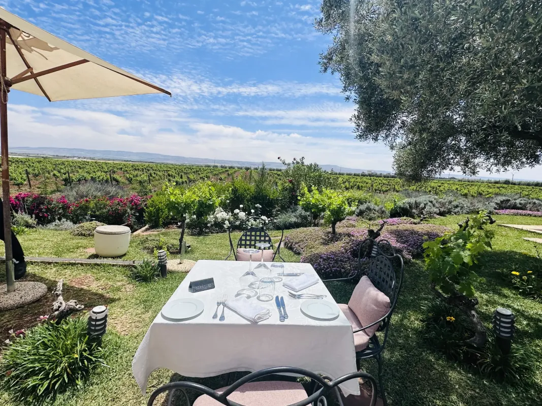 An outdoor dining table set on a grassy lawn, overlooking a beautiful vineyard in Morocco on a sunny day.