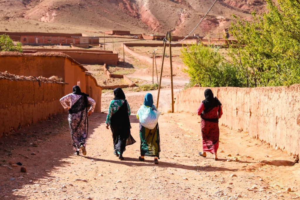 Four women in headscarves walk away from the camera in a rural village