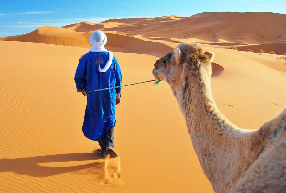 Morocco desert